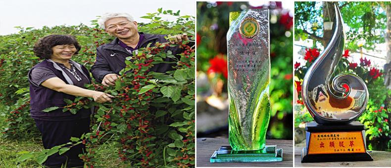 1699251429174216.jpg 1699193814288047.jpg